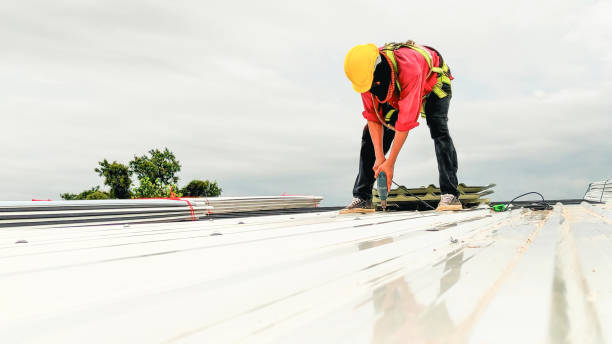 Best Skylight Installation and Repair  in Newark, OH